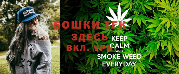 MDMA Новодвинск