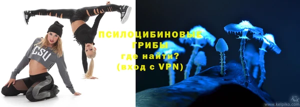 MDMA Premium VHQ Новозыбков