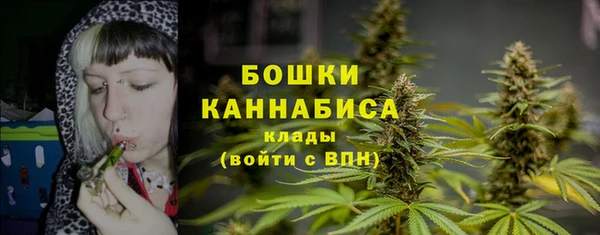MDMA Новодвинск